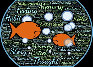 9游游戏官网-校园体育活动参与度与学生学业表现关联，学生参与学校体育的价值